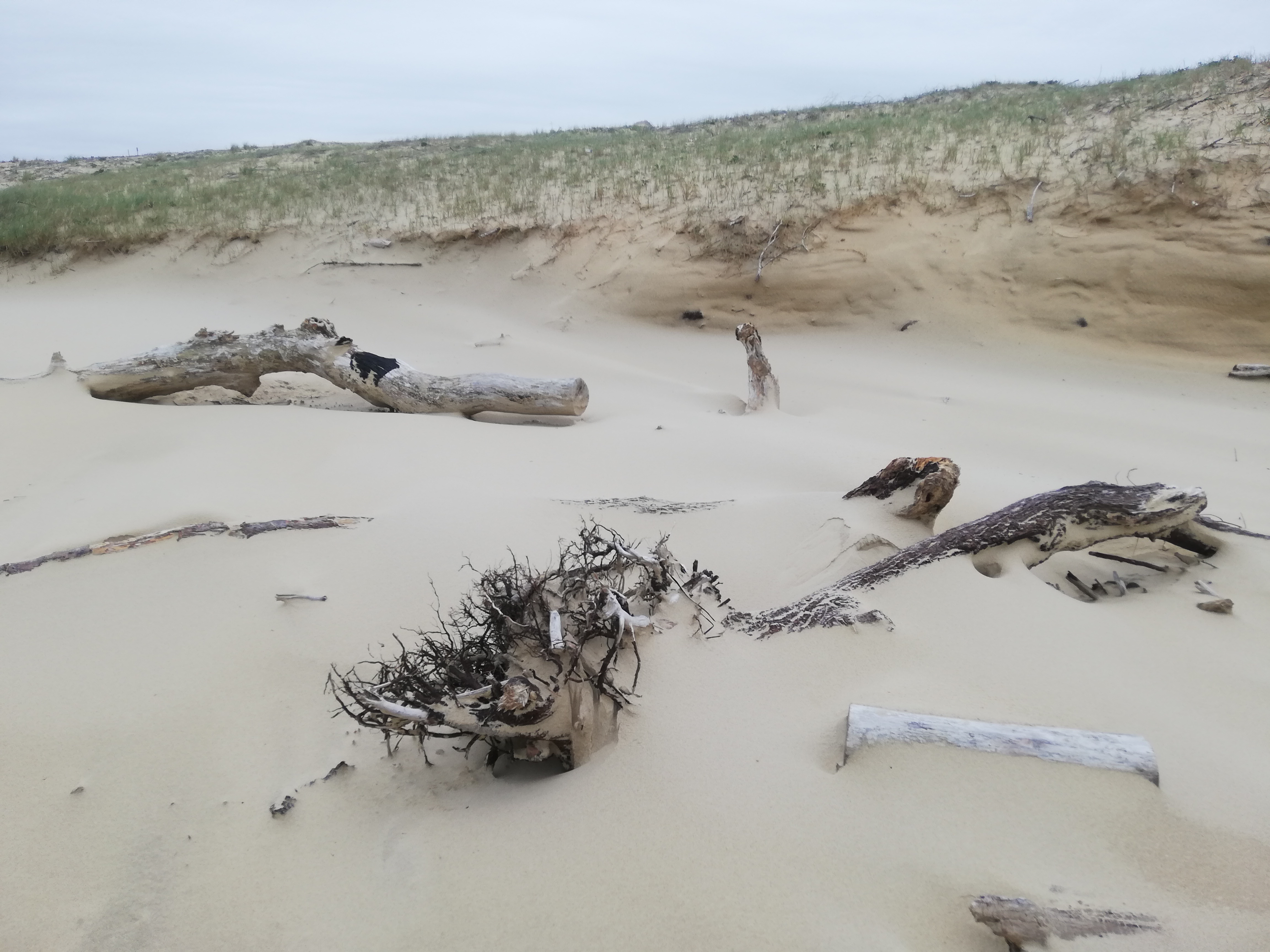 Illustration, Éric Plastre